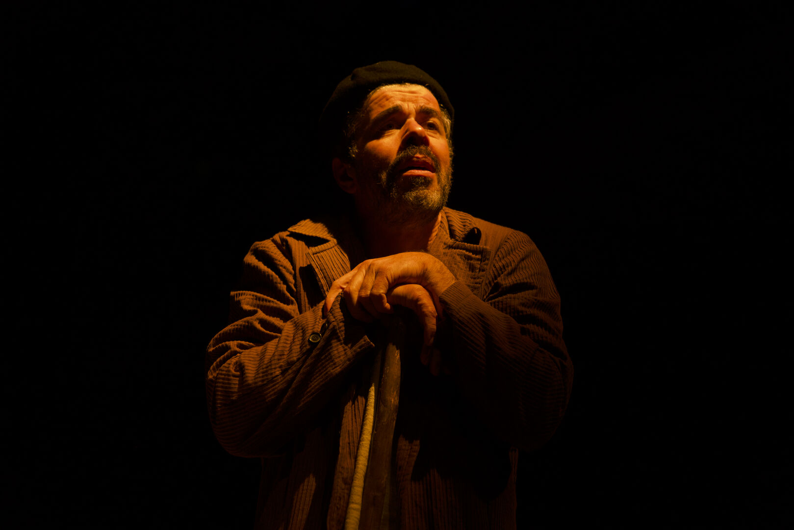 A visita - Pedro Giestas